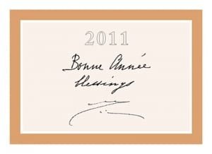 Послание из Ашрама к Новому 2011 Году