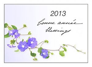Послание из Ашрама к Новому 2013 Году