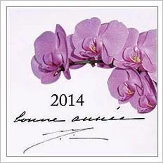 Послание из Ашрама к Новому 2014 Году