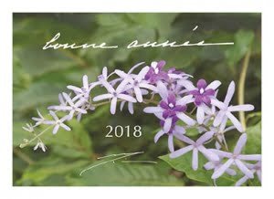 Послание из Ашрама к Новому 2018 Году