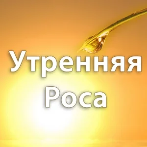 Утренняя Роса