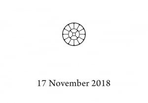 Даршан 17 ноября 2018 – День Махасамадхи Матери