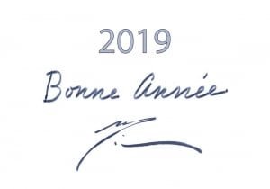 Послание из Ашрама к Новому 2019 Году