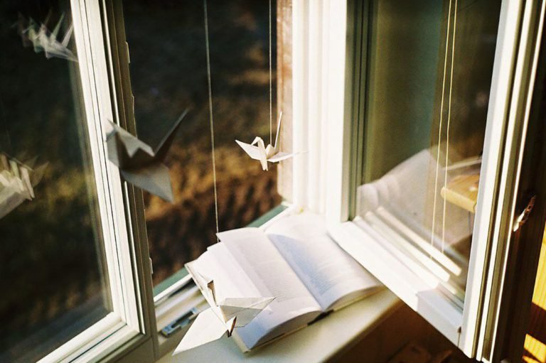 Нестяжательство, Удовлетворенность, Чистота, Аскеза, Самопознание (Жизнь Прекрасна. Часть 5)